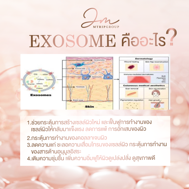 jolasma-exosome-lifting-serum-เซรั่มสเต็มเซลล์แบบทา-2-เดือน-ของแท้จากบริษัท