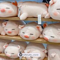 ตุ๊กตาหมู น่าร้ากกกกมากกกก ? ขนาด 30 ซม. (Teletubby_store)