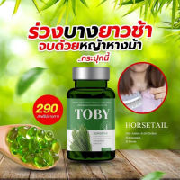 โทบี้ ฮอร์สเทล TOBY HORSETAIL
ขนาด 30 แคปซูล