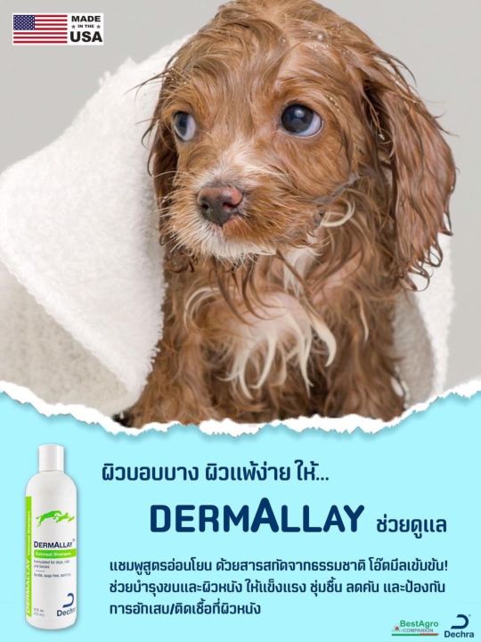 dermallay-oatmeal-shampoo-355-มล-แชมพูสำหรับสุนัขแชะแมวสูตรอ่อนโยน-บำรุงผิวหนังและขน