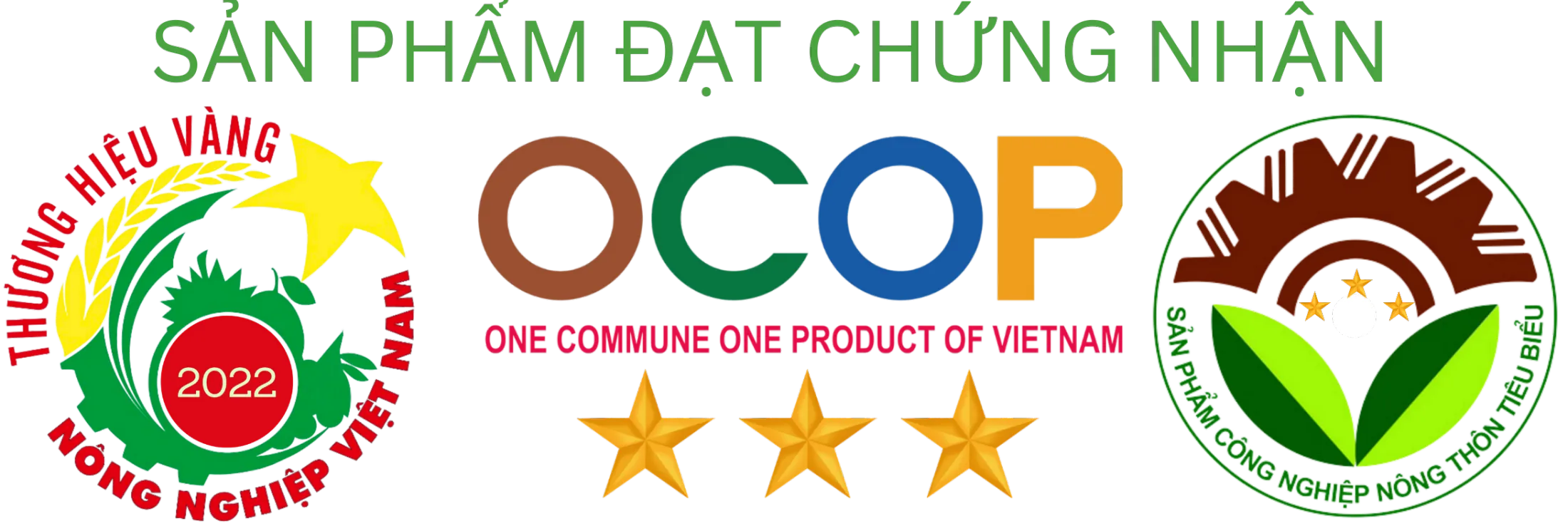 CÔNG TY TNHH MTV Thương mại Dịch vụ Sản Xuất C.V.C