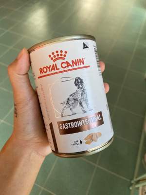 Royal canin gastrointestinal อาหารกระป๋องสำหรับสุนัขโรคทางเดินอาหาร