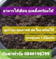 อาหารไส้เดือน เบดดิ้ง พร้อมใช้, จากวัวขุน คุณภาพดี สดใหม่,earthworm food Ready to use from cow dung, good quality, fresh