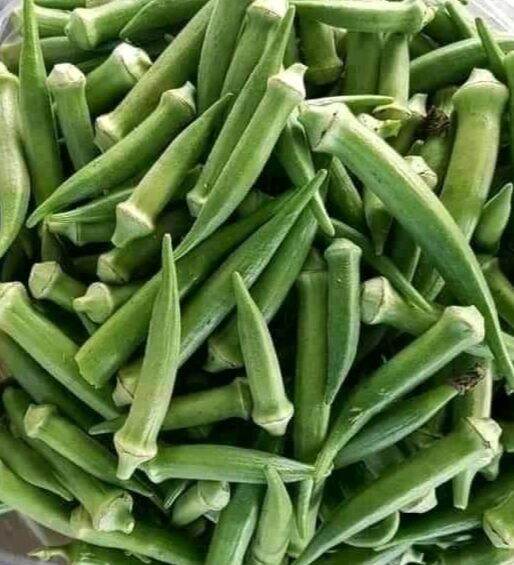 OKRA VEGETABLE SEEDS GREEN Lazada PH