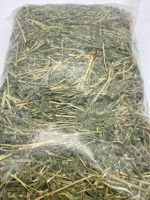 หญ้าอัลฟาฟ่า ก้านใบ ขนาด 200 กรัม กลิ่นหอม น่าทาน  ราคา 40 บาท สินค้าพร้อมส่งครับ