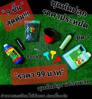 ชุดปลูกราคาประหยัด ได้ถึง 9 ชิ้น สุดคุ้ม!!! ราคาแค่ 99 พีทมอส สูตรRasta B พร้อม☘️เมล็ดสมุนไพรสายเขียวฝอยทองคุณภาพดี 2 เมล็ด มาจากศูนย์วิจัยรัฐวิสาหกิจองค์กรใหญ่