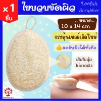 ใยบวบขัดผิว มีสายคาด 1 ชิ้น Loofah Scrubber ใยบวบ ขัดผิวกาย ขัดตัว อ่อนโยนต่อผิว ใยบวบ จากธรรมชาติ บวบขัดผิว ขัดผิว บวบ สครับผิว