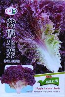 เมล็ดพันธุ์ ผักกาดหอม สีม่วง (Purple Lettuce Seed) บรรจุ 1500 เมล็ด