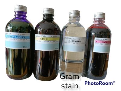 Gram stain ใช้แสง (light microscope)4/450 มล.