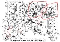 สำหรับปั๊มน้ำฮิตาชิ WT-P(350-400)GX ชุดหัวเรือนปั๊มทั้งชุด (เรือนปั๊ม เช็ควาล์ว ฝาปิดและโอริงทั้งชุด) ตัวชดเชยอากาศทั้งชุด สายเติมอากาศลงถัง ชุดโอริงและซีลยางต่างๆ ได้แก่ ซีลยางฝาปิดใบพัด ซีลยางรองเรือนปั๊ม ยางรองหน้าแปลนเข้าออกน้ำ โอริงจุกปิดต่างๆทั้งชุด