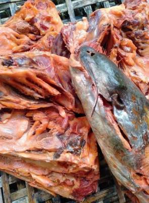 หัวปลาทุกัง ตากแห้ง หัวโตๆ รสชาติไม่เค็มมาก ส่งตรงจากนครศรีธรรมราช นน. 1 kg. ราคากิโลกรัมละ 120 บาท