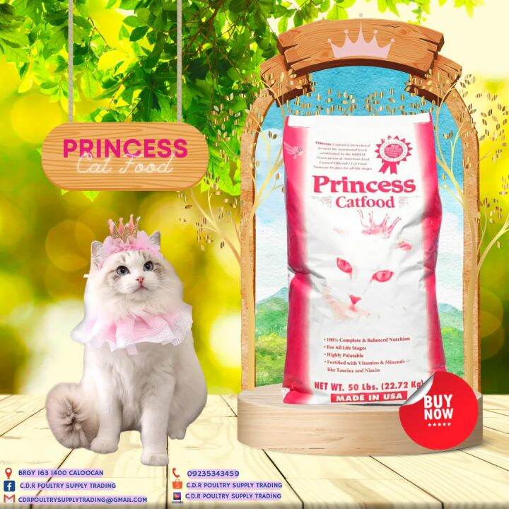 PRINCESS CAT FOOD Lazada PH princess-cat-food-lazada-ph