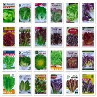 เมล็ดพันธุ์ ผักสลัด (Lettuce Seed) สลัด มีให้เลือก 24 แบบค่ะ จำนวนเมล็ดอยู่ที่รายละเอียดสินค้าค่ะ