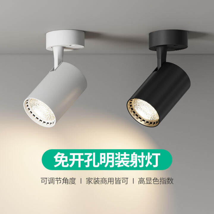 Open-Mounted Spotlight Adjustable Angle Single Household Small Ceiling ...