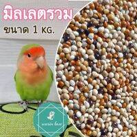 มิลเลตรวม 3 สี 1kg. มิลเลตรวม อาหารสำหรับนกขนาดเล็ก อาหารบำรุงนก อาหารเสริมสำหรับนก อาหารสำหรับนก