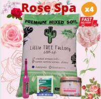 Rose SPA ×4 บำรุงรักษาปกป้องแตกยอดดอกใหญ่คุ้มสุด4อย่างครบจบในความสวย