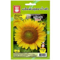 เมล็ดพันธุ์ ทานตะวัน บิ๊กโกลด์ (SUNFLOWER) บรรจุ 1 กรัม ตราน้ำเต้า