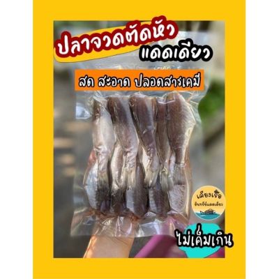 ปลาจวดแดดเดียว/ปลาแดดเดียวสดใหม่ จากชาวประมง