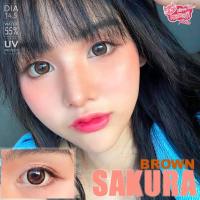 คอนแทคเลนส์  รุ่น SakuraBy Kitty kawaii สีเทา/ตาล Gray/Brown มีค่าสายตาปกติ (0.00) เปลี่ยนแทนทุกเดือน