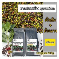 กาแฟดอยช้างอาราบิก้า100% คั่วเข้ม1/คั่วกลาง1 (2ถุง500กรัม) ชนิดบด Dark+Medium 500g Arabica 100%