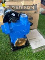 ปั๊มน้ำอัตโนมัติ Radison RDC-250A ทางน้ำเข้า 1นิ้ว ไม่มีฝาครอบ ส่งสูง 33เมตร ดูดลึก9เมตร ปั๊มน้ำ