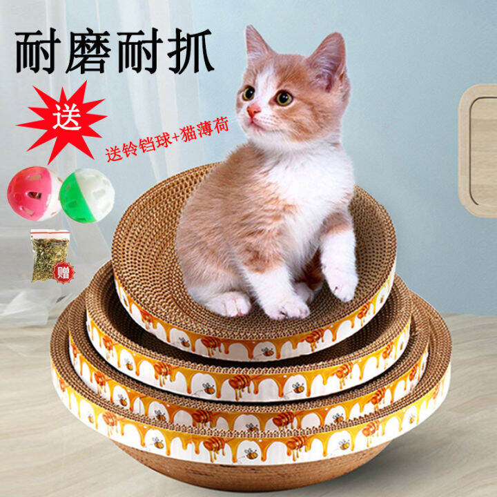 Cat best sale scratcher lazada