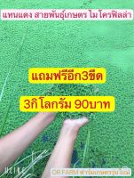 แหนแดง พันธุ์เกษตร (3กิโล90บาท) แถมฟรีอีก3ขีด