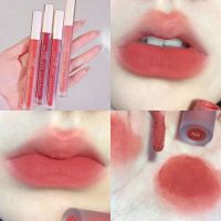 HLLR Hai Lun Li Ren Velvet Mist Lip MATTE ลิปซอฟท์แมท ลิปซอฟท์แมท สีสวย เกลี่ยง่าย ติดทน ปากไม่แห้ง ลิปจุ่ม กันนำ้ สีสวย