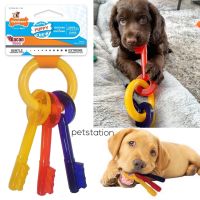 Nylabone Gentle Chew ของเล่นสัตว์เลี้ยง