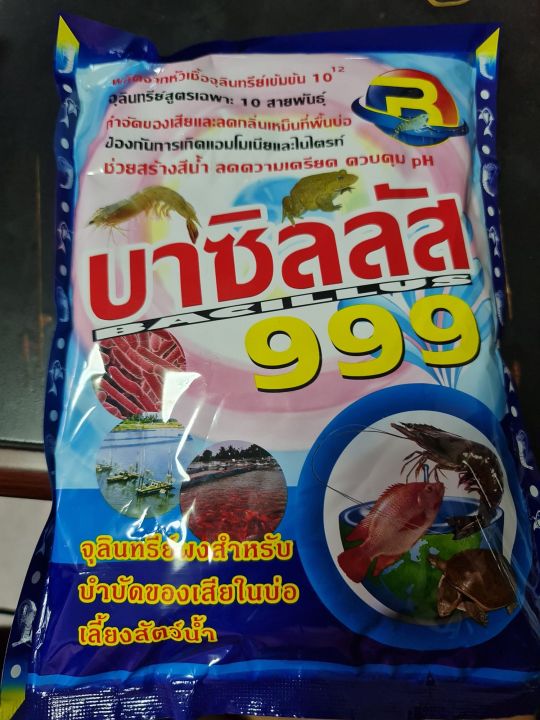 จุลินทรีย์-999-จุลินทรีย์ผงสำหรับบำบัดน้ำเสียในบ่อเลี้ยงสัตว์น้ำ-ช่วยสร้างสีน้ำ-ลดความเครียด-ควบคุม-ph-ผลิตจากหัวเชื้อจุลินทรีย์