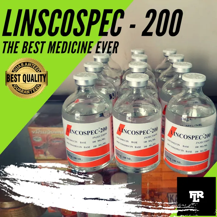 LINCOSPEC 200 OBAT INJEKSI AYAM OBAT SNOT CRD UNTUK AYAM BURUNG MERPATI