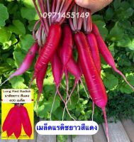 เมล็ดแรดิชสีแดงยาวแรดิชยาว สีแดง Long red radish สายพันธุ์ Op บรรจุ400 เมล็ด