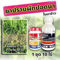 ชุดปราบผักปอดนา ? สปีดไลน์ 1 + เมตซันฟูรอน 1 ? กำจัด ผักปอดนา ในนาข้าว