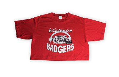 Reworked Wisconsin Badgers  Crop Tees.  This Crop tees has been remade from a  Wisconsin Badgers shirt.