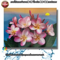 ภาพโปสเตอร์ดอกลีลาวดีสีชมพู  รุ่งอรุณขนาด16×20"นิ้ว pink frangipani poster picture Dawn size 16×20" inches.