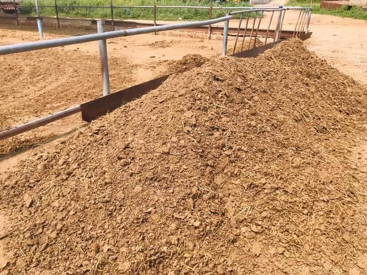 ปุ๋ยคอกขี้วัว100-แห้งไม่ชื้น-1กระสอบบรรจุ7-10กิโล-ถูกที่สุดในลาซาด้าค่าส่งถูก-บำรุงต้นไม้ทุกชนิด