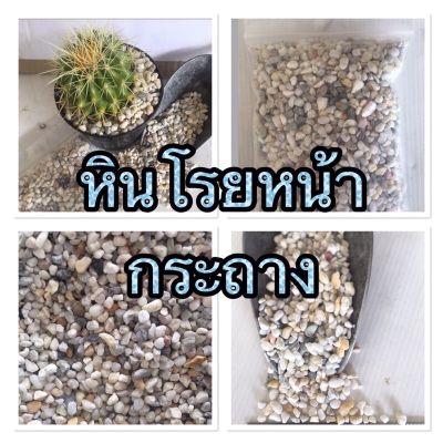 หินโรยหน้ากระถางหรือใส่ตู้ปลา สีขาว-เทา คละขนาด