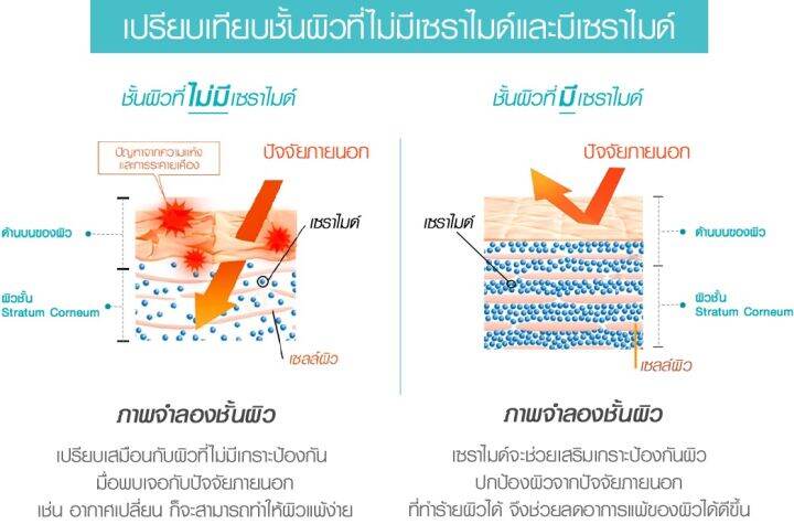 curel-intensive-คิวเรล-moisture-whitening-aging-care-ครีมบำรุงผิวหน้า-ผิวบอบบางแพ้ง่าย-ขนาด-40g