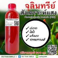 หัวเชื้อจุลินทรีย์สังเคราะห์แสง 500 ml. ช่วยในการเจริญเติบโตของพืชผักสวนครัว