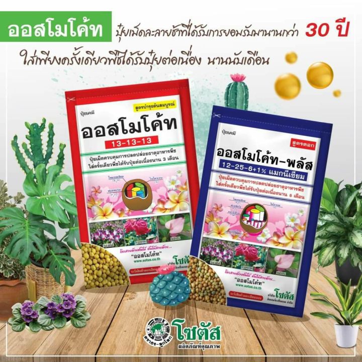 ออสโมโค้ท-พลัส-สูตร-12-25-6-1-แมกนีเซียม-สูตรดอก