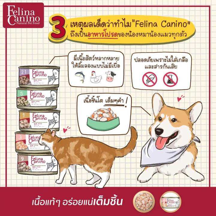 felina-canino-single-protein-อาหารเปียกสุนัข-85g