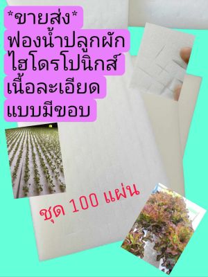 ฟองน้ำปลูกผักไฮโดรเนื้อละเอียด ขนาดมาตรฐาน 96 ช่องปลูก 1*1*1 นิ้ว แบบมีขอบฟองน้ำ ยกห่อ 100 แผ่น