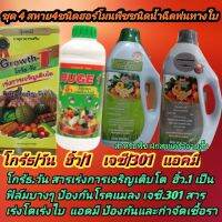 4 กระปุกขนาด 1 ลิตร
สำหรับพืช อายุสั้นพืชผักสวนครัว หอม ผักซีผักกาดแตงกวาแตงโม