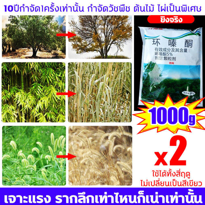 เน่าเสียข้ามคืน 1 ห่อฆ่ารากของต้นไม้ต่างๆ ยากำจัดต้นไม้500gไม่เป็นอันตรายต่อดิน อีกทั้งยังทำให้ดินมีความอุดมสมบูรณ์ ยากำจัดต้นไม้ใหญ่ กำจัดอย่างสิ้นเชิง ไม่กลับเป็นสีเขียวอีกต่อไป100ปี ยาฆ่าต้นไม้ ไม่ต้องตัดต้นไม้ด้วยมือ ยาฆ่าไผ่ ยาฆ่าไม้ไผ่ สารกำจัดกอ ... เน่าเสียข้ามคืน 1 ห่อฆ่ารากของต้นไม้ต่างๆ ยากำจัดต้นไม้500Gไม่เป็นอันตรายต่อดิน อีกทั้งยังทำให้ดินมีความอุดมสมบูรณ์ ยากำจัดต้นไม้ใหญ่ กำจัดอย่างสิ้นเชิง ไม่กลับเป็นสีเขียวอีกต่อไป100ปี ยาฆ่าต้นไม้ ไม่ต้องตัดต้นไม้ด้วยมือ ยาฆ่าไผ่ ยาฆ่าไม้ไผ่ สารกำจัดกอ ...