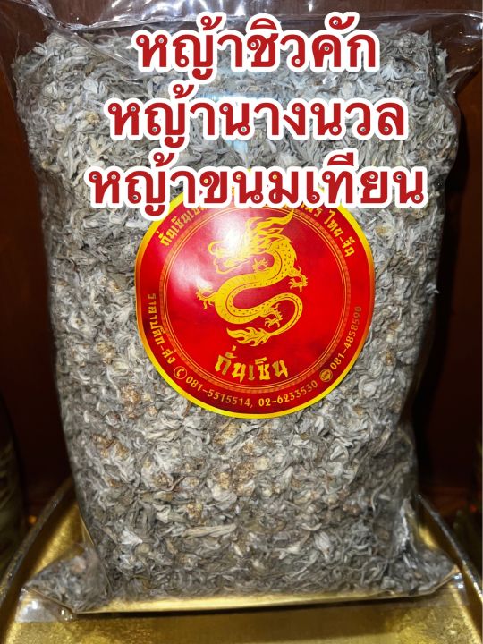 หญ้าชิวคัก-หญ้านางนวล-หญ้าขนมเทียน-สำหรับนำไปทำขนมเทียน-หญ้าฉื่อคัก-ดอกฉื่อคัก-ดอกดิน-บรรจุ50กรัมราคา50บาท