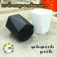 กระถาง เพชร 5.5 นิ้ว ( หนา สูง) // กระถางพลาสติก  กระถางแคคตัส กระบองเพชร