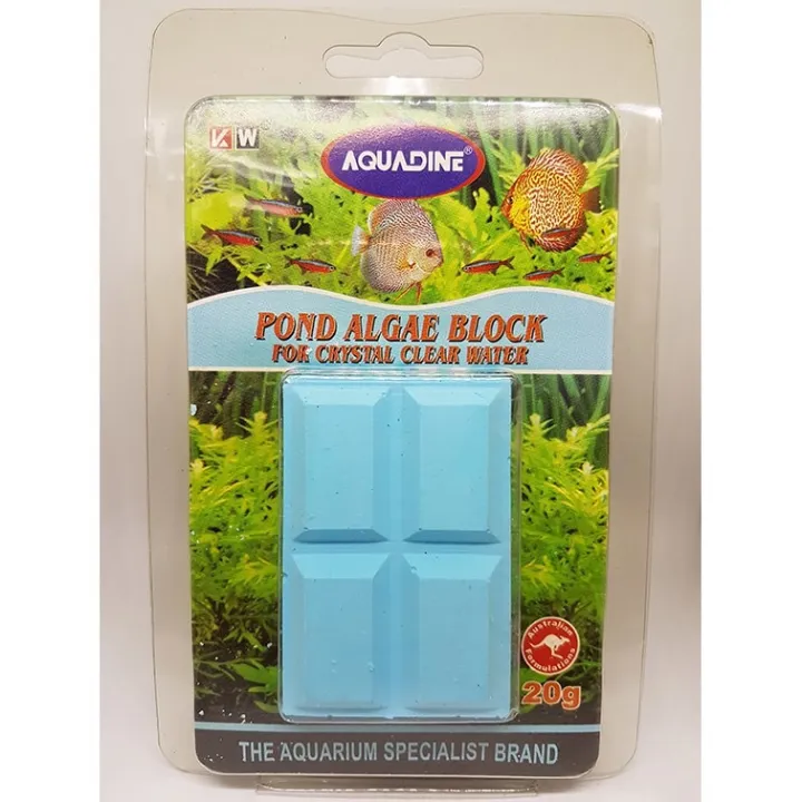 AQUADINE Pond Algae Block For Crystal Clear Water | Lazada