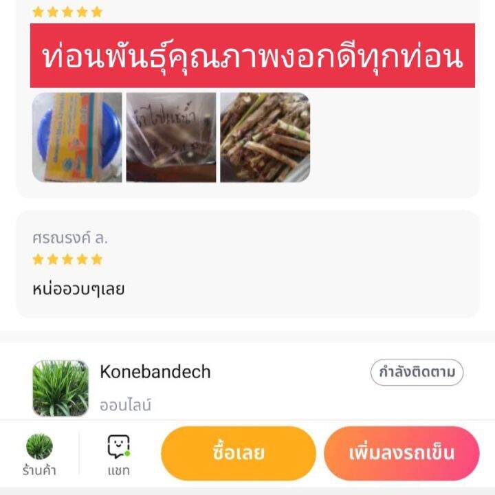 1-000-ท่อนพันธุ์หญ้าหวานอิสราเอล-บดเลี้ยงไก่-เลี้ยงปลา-เลี้ยงกระต่าย-หนู-เต่า-แกะ-แพะ-วัว-ควาย-ม้า-ลา-ช้าง