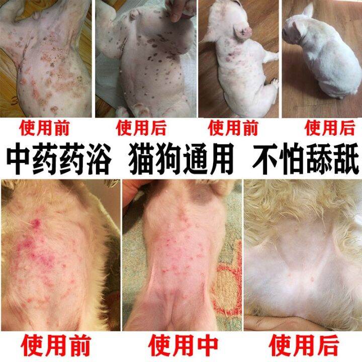 Dog Skin Disease Medical Bath Cat Ringworm Body Lotion Cat Moss