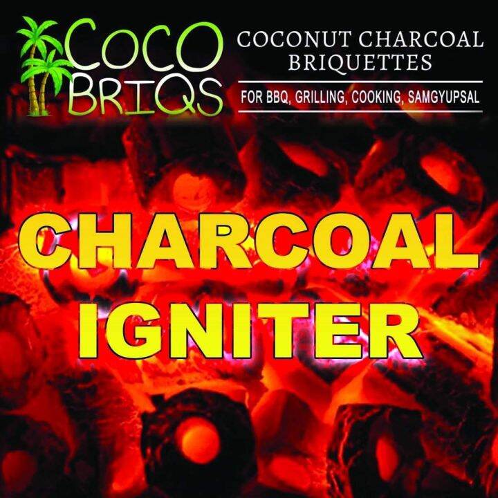 1 pack CHARCOAL IGNITER (12pcs) Lazada PH